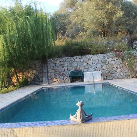 Hayat Agaci Villas 别墅 *