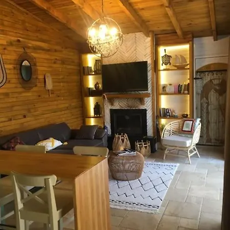 Hayat Agaci Villas 费特希耶