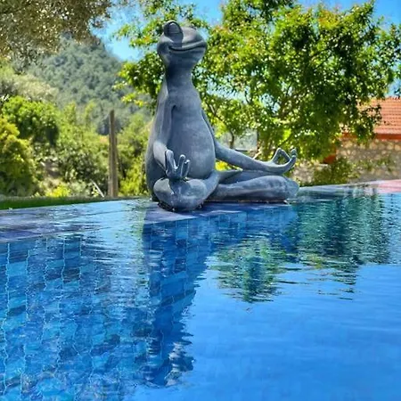别墅 Hayat Agaci Villas 费特希耶