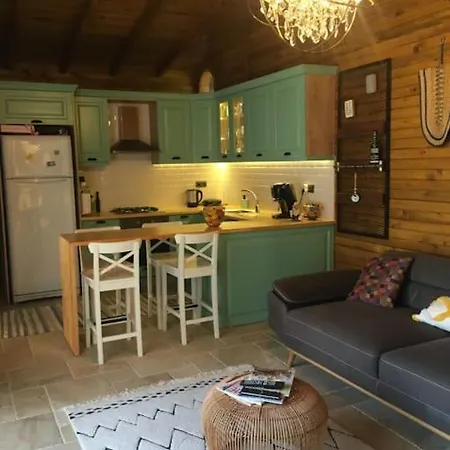 Hayat Agaci Villas 别墅