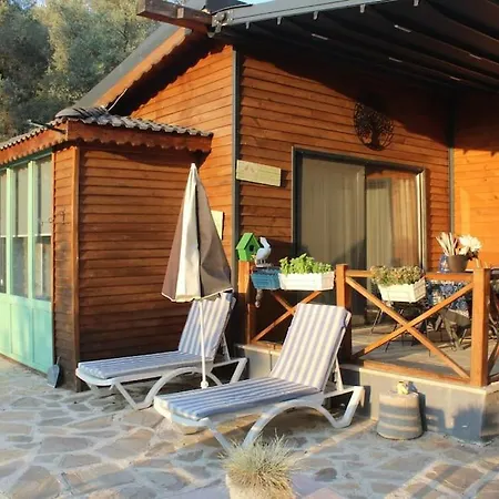 Hayat Agaci Villas 别墅
