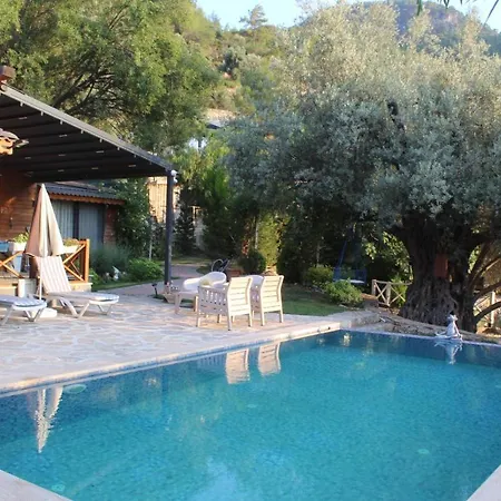 Hayat Agaci Villas 费特希耶