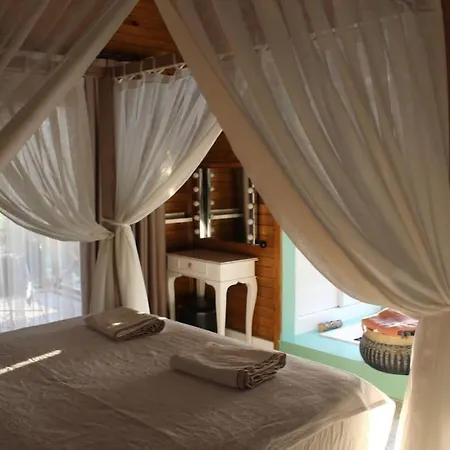 Hayat Agaci Villas 费特希耶