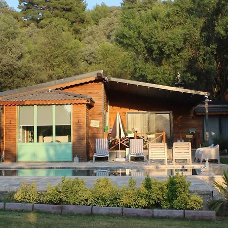 Hayat Agaci Villas 别墅 费特希耶