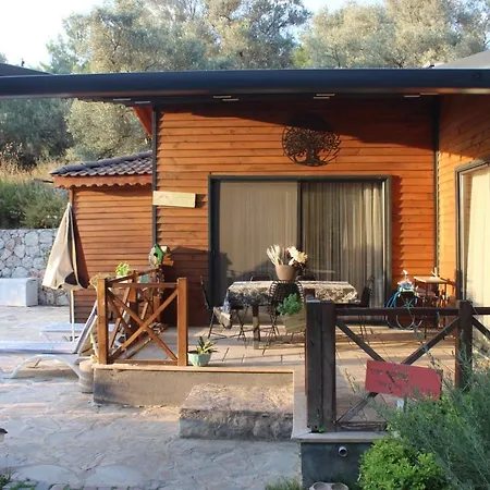 Hayat Agaci Villas * 费特希耶